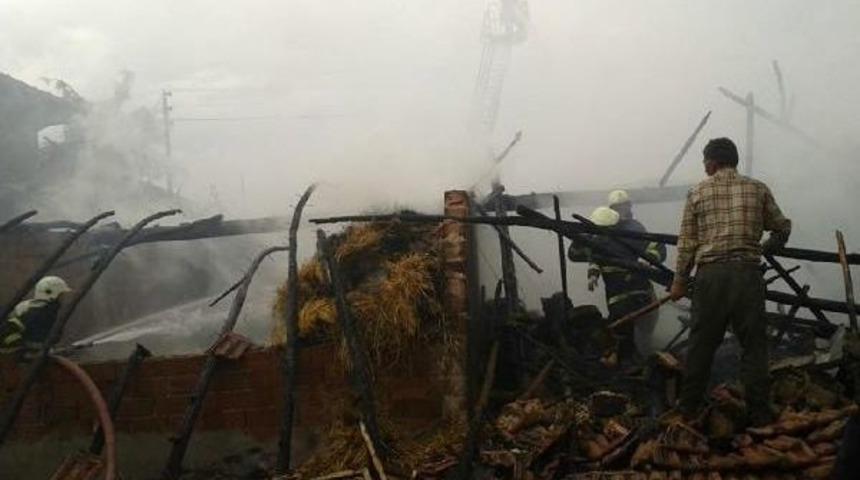 9 Inek Yangında Telef Oldu