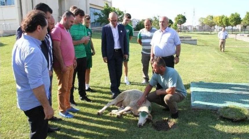 Bursaspor Yeni Sezon Hazırlıklarına Başladı