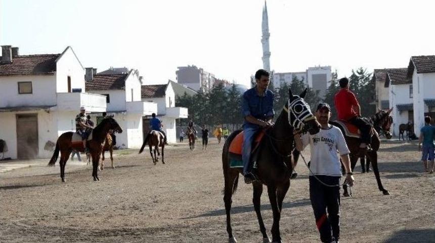 Paha Biçilmez Atlara Dört Dörtlük Hastane