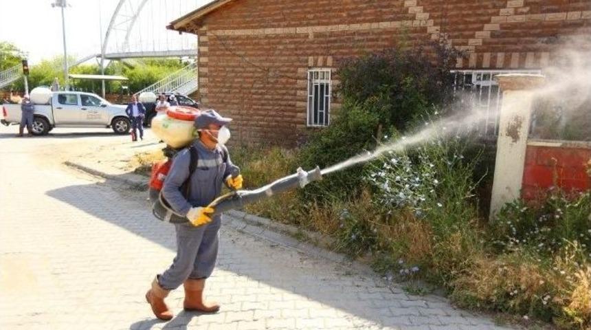 Edremit İl&ccedil;esinde Sineklere Karşı İla&ccedil;lama &Ccedil;alışmaları