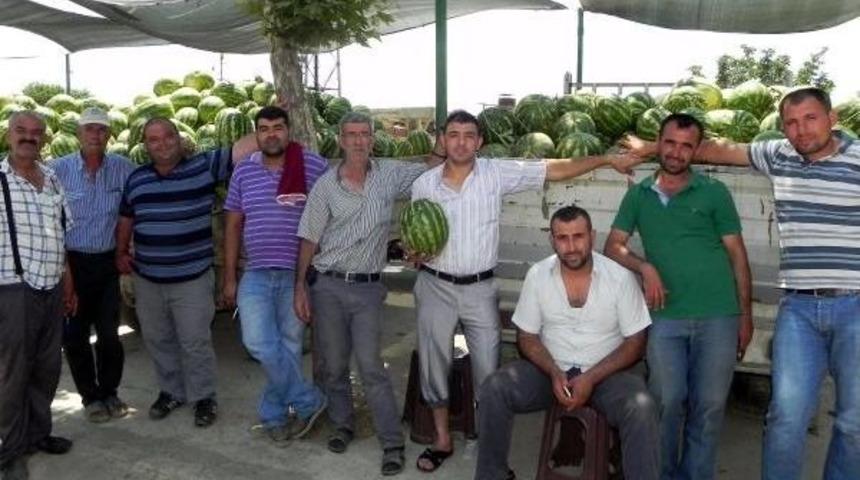 Havalar Isınmayınca T&uuml;ketim Artmadı, Karpuz Tarlada Kaldı