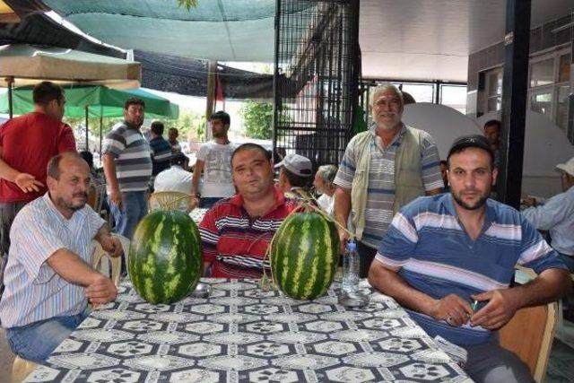 Havalar Isınmayınca Tüketim Artmadı, Karpuz Tarlada Kaldı