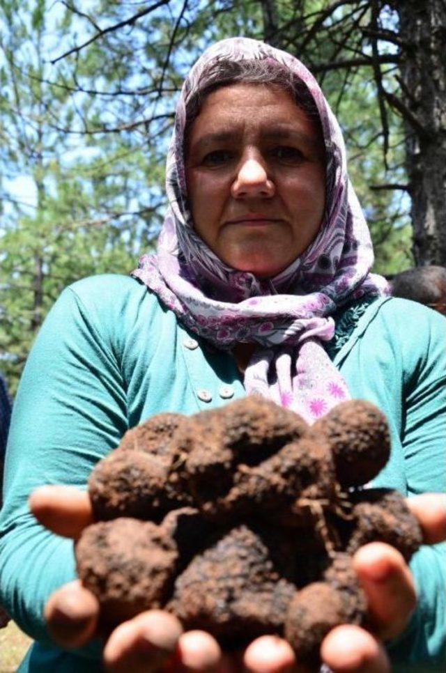 Köylüler Toprağın Altında 'siyah Elmas' Aradı