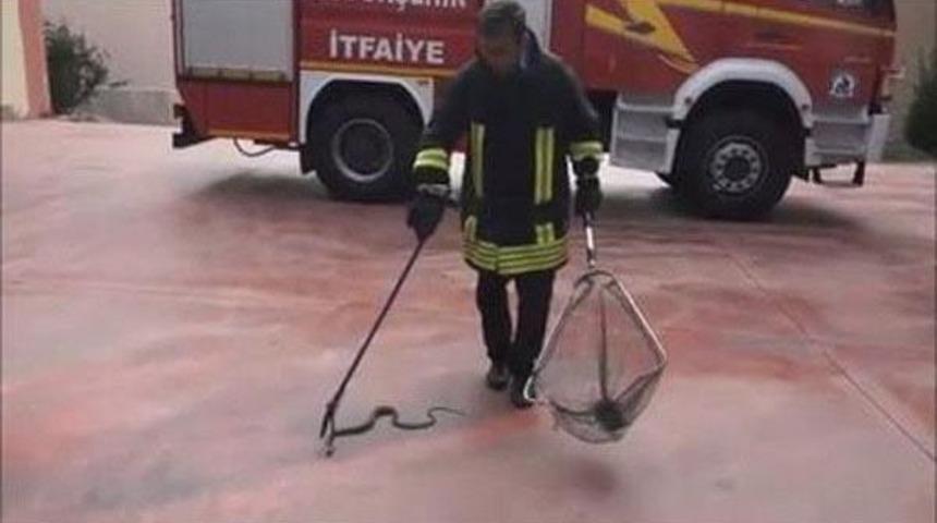 İtfaiyeden Canlı Yılan Yakalama Dersi