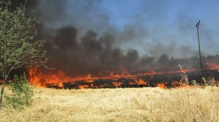 Adıyaman&rsquo;da Yangında Ağa&ccedil;lar Ve Elektrik Direkleri Zarar G&ouml;rd&uuml;