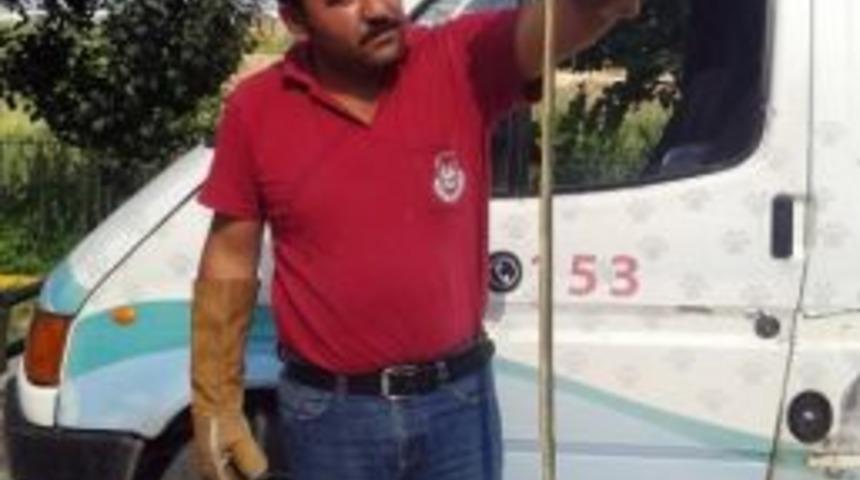 Bursa&rsquo;da Zehirli Yılan Paniği