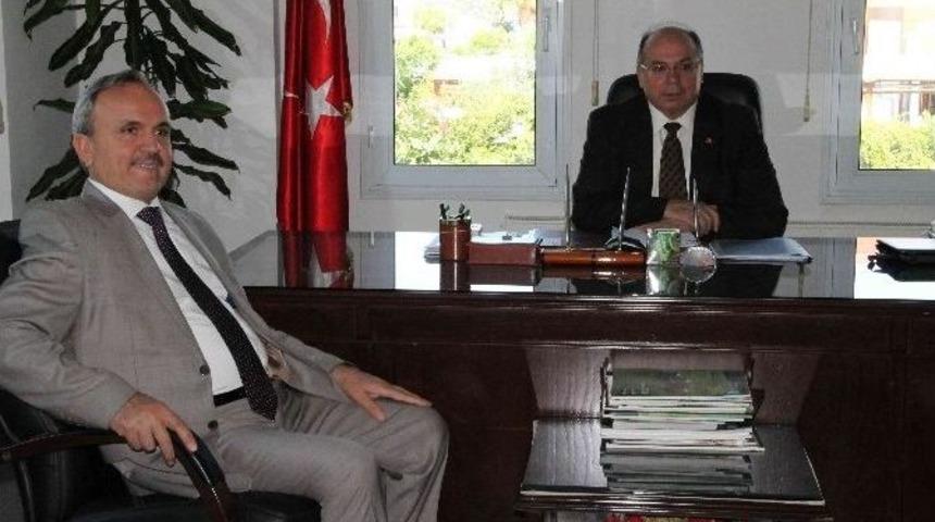 Fethiye 6 Ayda 114 Bin Ton Domates İhra&ccedil; Etti