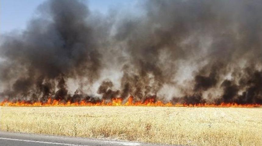 Diyarbakır&rsquo;da Korkutan Yangın