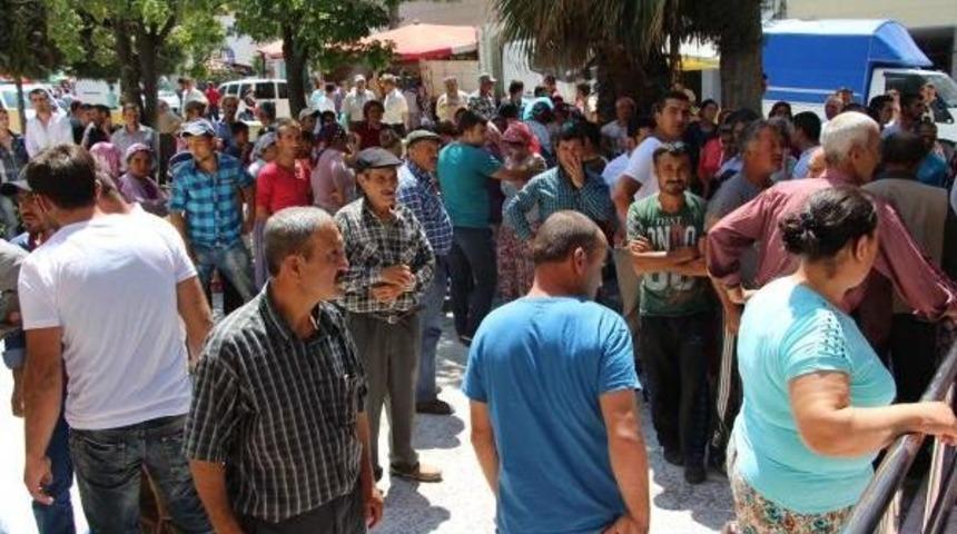 Pazarda Akıl Almaz &Ouml;l&uuml;m