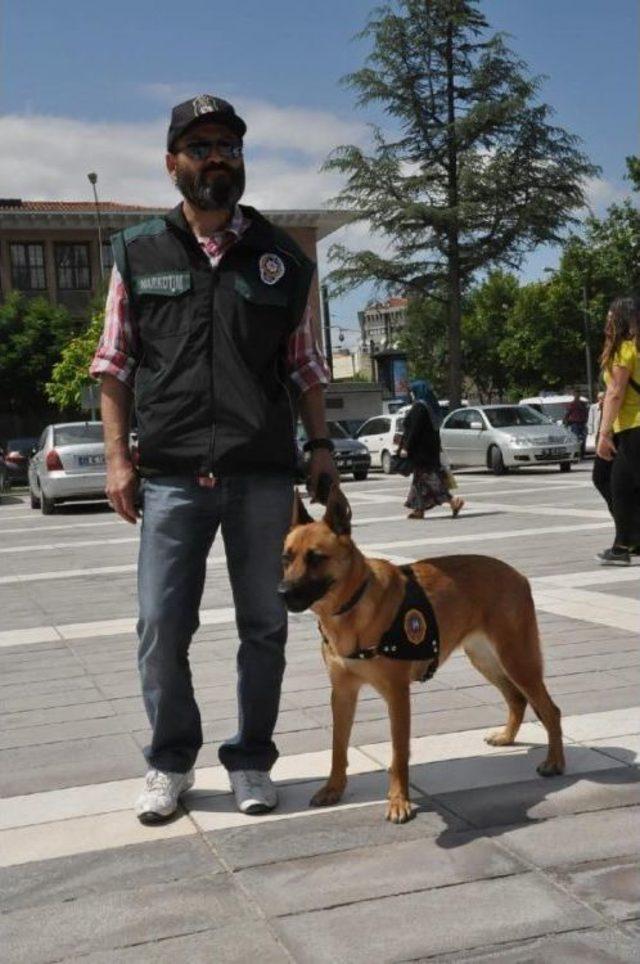 Eskişehir'de Narkotimler Görev Başında