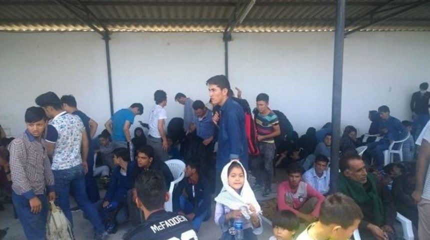 113 Ka&ccedil;ak G&ouml;&ccedil;men Yakalandı