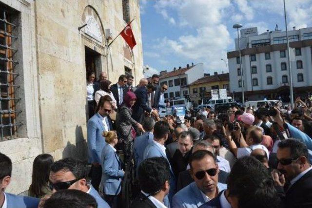 Davutoğlu: Kelebekler, Bize Tezekkürü, Tefekkürü Öğretir