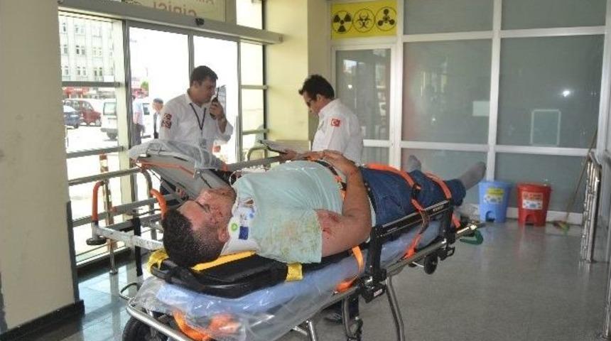 Meyve Toplamak İ&ccedil;in &Ccedil;ıktığı Ağa&ccedil;tan D&uuml;şt&uuml;