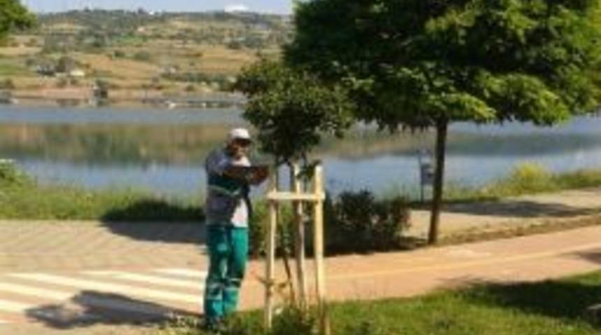 G&ouml;lkay Elden Ge&ccedil;ti