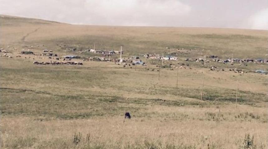 &Ccedil;ıldır&rsquo;da Yayla Sezonu Başladı