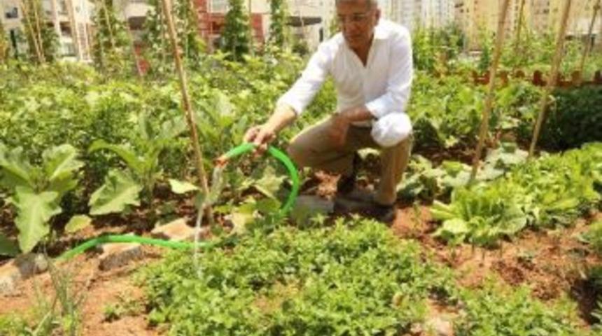 Mezitli&rsquo;de Vatandaşın İsteğiyle 63 Hobi Bah&ccedil;esi Daha Kuruluyor