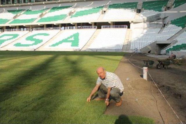 Bursa Timsah Arena’Nın Çimleri Tamam