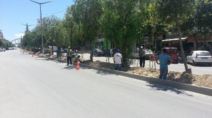 Mut&rsquo;ta Ref&uuml;j D&uuml;zenleme &Ccedil;alışmaları S&uuml;r&uuml;yor