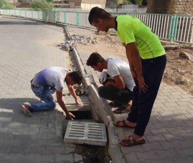 Nusaybin'de Kanalizyasyonda 4 Gün Mahsur Kalan Yavru Kedi Kurtarıldı