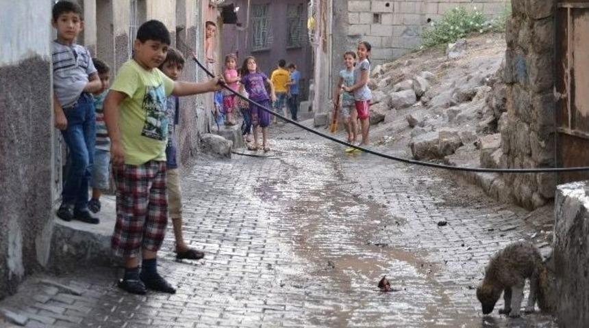 Sıcaklar Kavurmaya Başladı