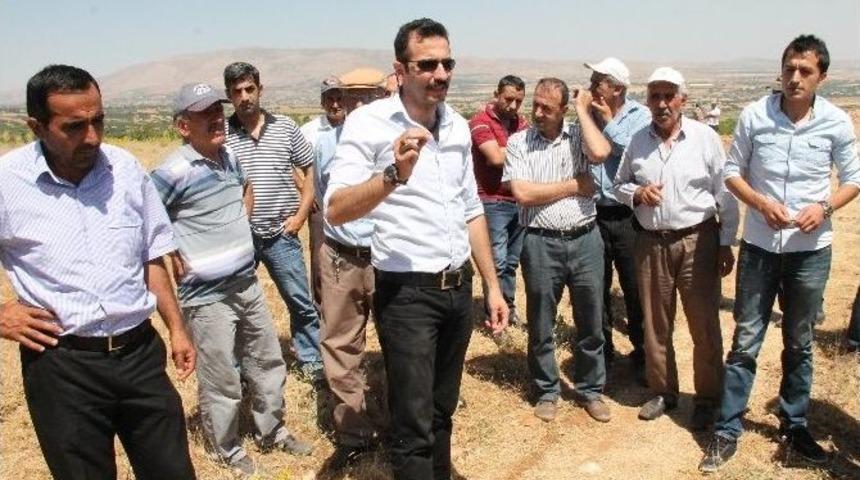 Elazığ&rsquo;da Tavuk &Ccedil;iftliği Eylemi