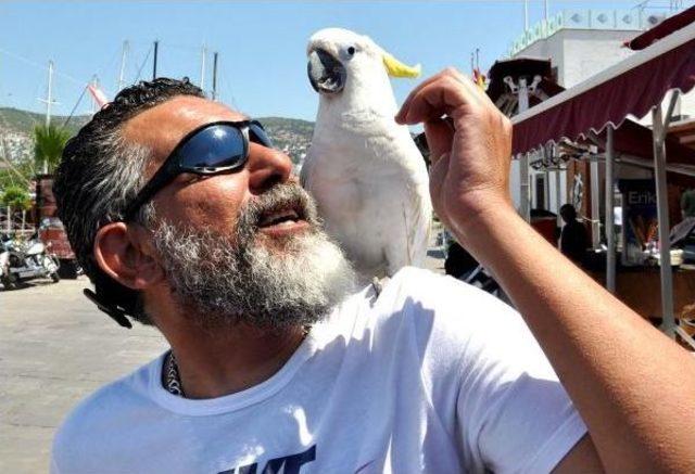 Kaybettiği 'paşa'sına Kavuştu