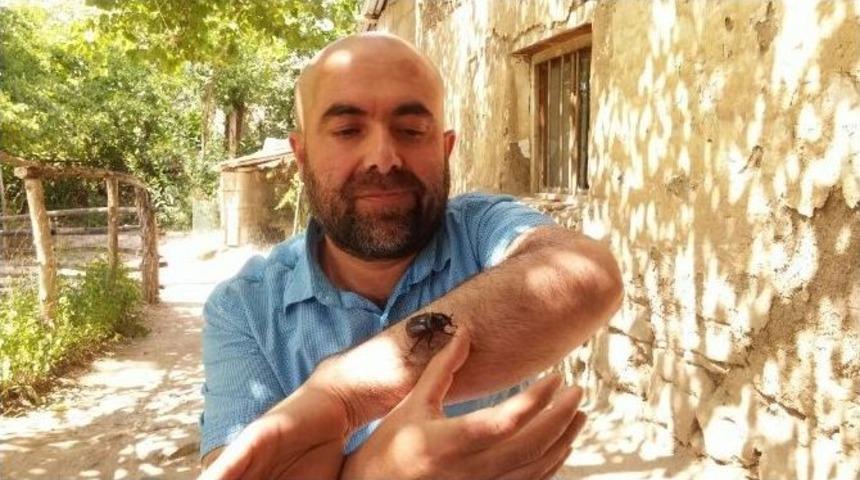 Bir Gergedan B&ouml;ceği De Van&rsquo;da Bulundu