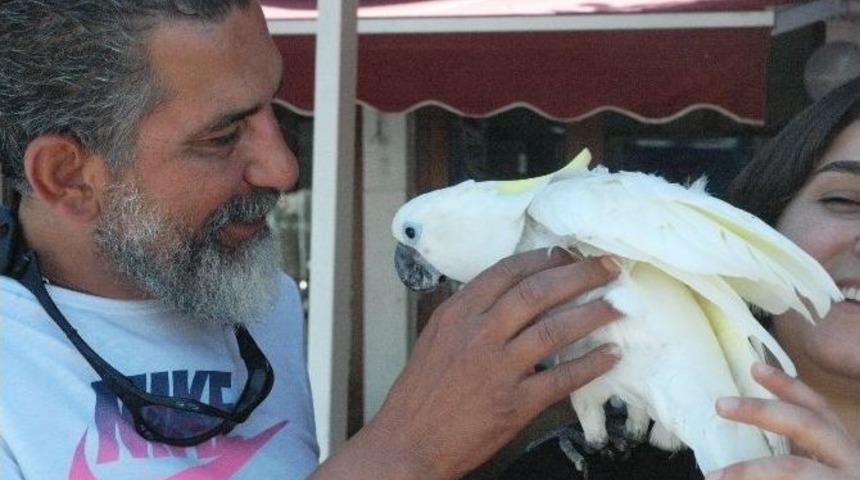 Kaybolan Papağanına 2 G&uuml;n Sonra Kavuştu