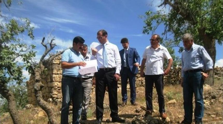 Mazıdağı&rsquo;nda &rsquo;yeşil Kuşak&rsquo; Projesi Uygulamaya Başlanacak