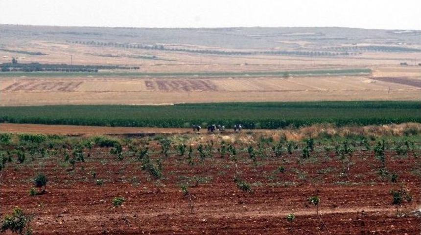 (&ouml;zel Haber) Suriyeliler, Oğuzeli Sınırına Y&ouml;neldi