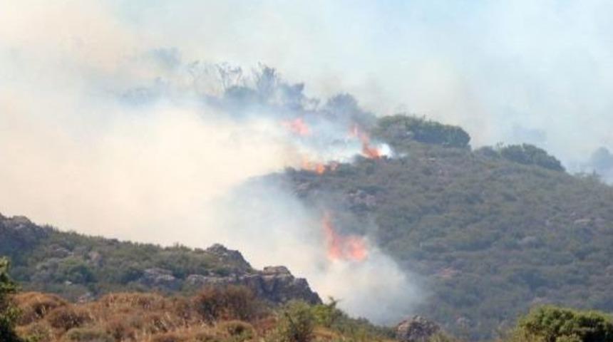 Bodrum'da Otluk Ve Makilik Alanda Yangın