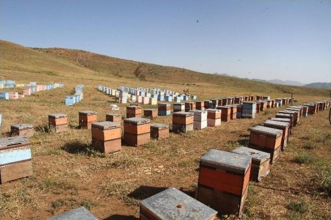 &Ccedil;atışma B&ouml;lgesi &Ccedil;&ouml;z&uuml;m S&uuml;reciyle Ballandı