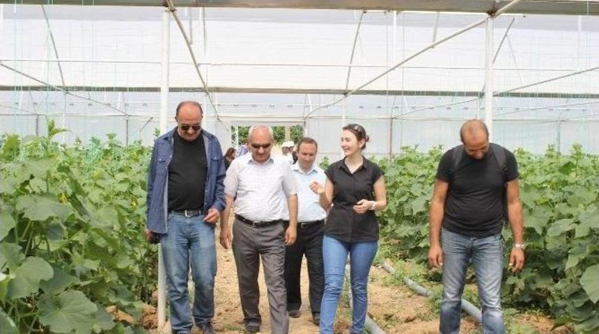 İl M&uuml;d&uuml;r&uuml; Yılmaz "iyi Tarım Uygulamaları" Yapan &Uuml;reticileri Ziyaret Etti