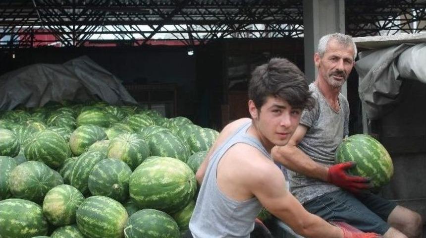 Trabzon&rsquo;da Havaların Serin Ve Yağışlı Gitmesi Karpuz Satışını Vurdu