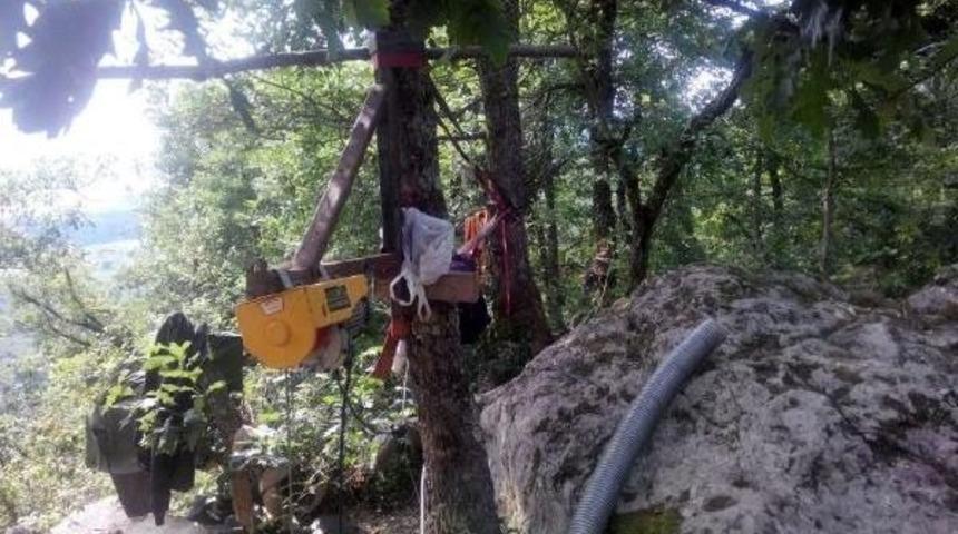 Define Avcıları Yakalandı