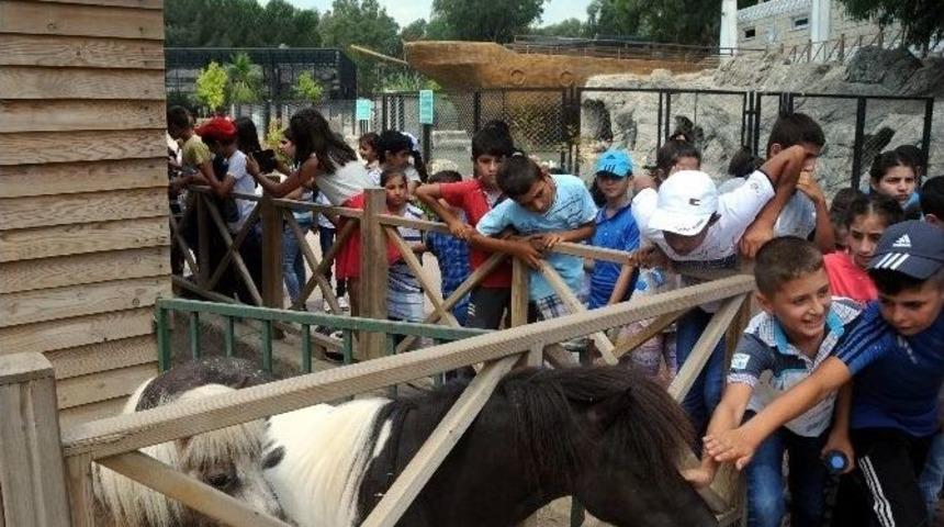 İştar Kursiyeri &Ccedil;ocuklar Hayvanat Bah&ccedil;esini Gezdi
