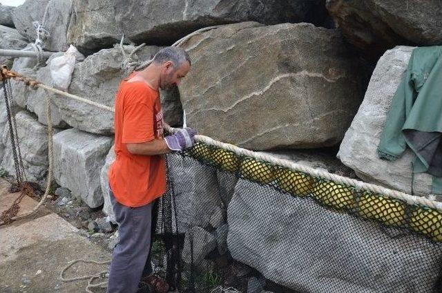 Fatsalı Balıkçılar Yeni Sezona Hazırlanıyor