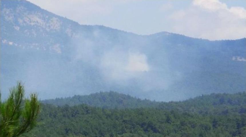 Kazdağları Alev Aldı