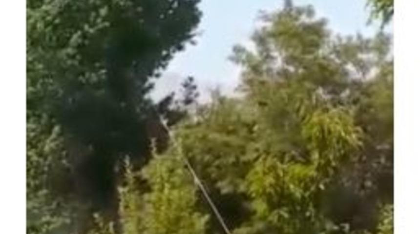 Az Daha Kestikleri Ağacın Altında Kalıyorlardı