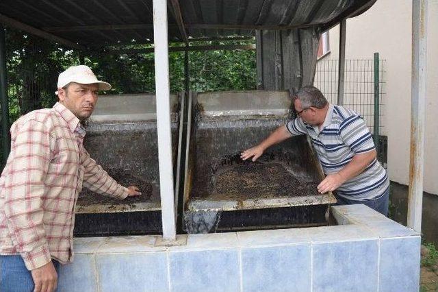 300 Bin Liralık Yatırım Çürüyor