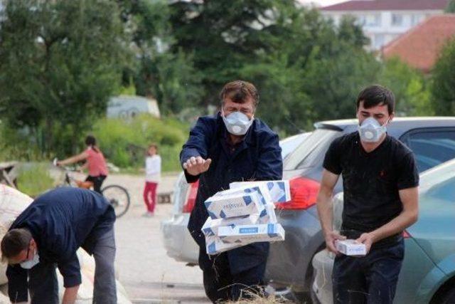 Büyükbaş Hayvan Taşınan Tır'da 50 Bin Paket Kaçak Sigara