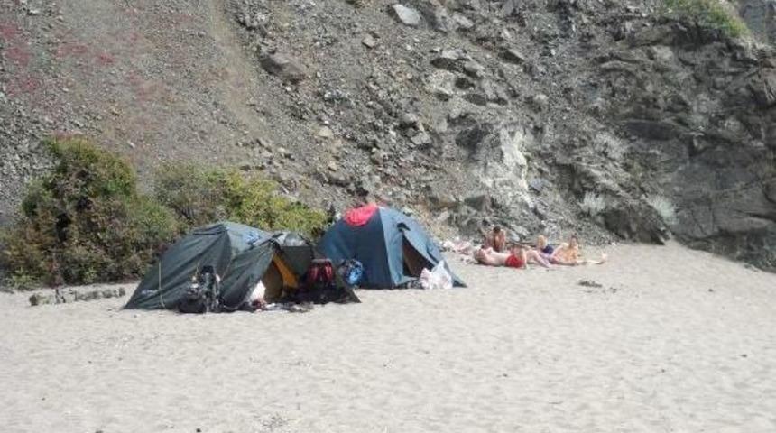 Caretta Carettalar Kamp&ccedil;ı Tehdidi Altında