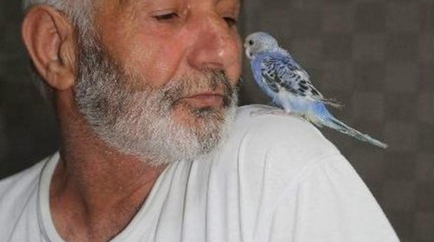 Omzundan Hi&ccedil; İnmiyor