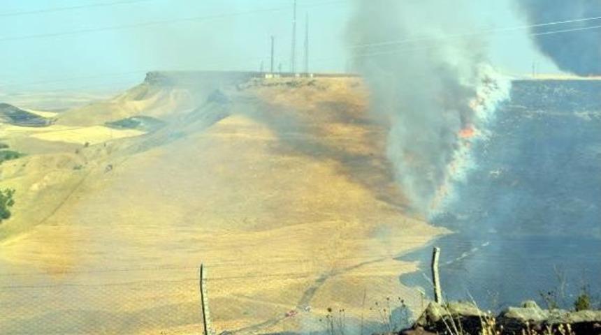 Karganın Neden Olduğu Yangında 500 D&ouml;n&uuml;ml&uuml;k Ormanlık Alan K&uuml;l Oldu