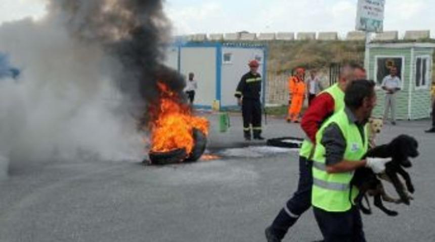 Sahipsiz Hayvanlar Bakımevi&rsquo;nde Yangın Tatbikatı