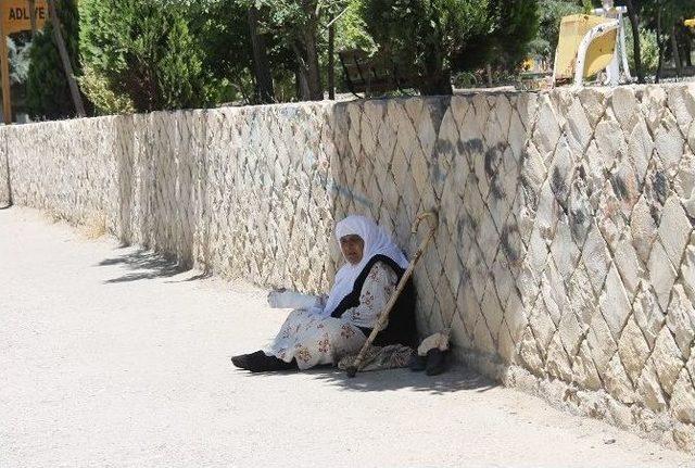 Mardin’de Dilenci İstilası