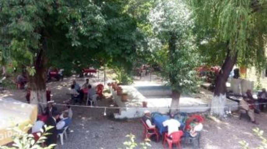 Bu Da &rsquo; Serin Hava &rsquo; Turizmi