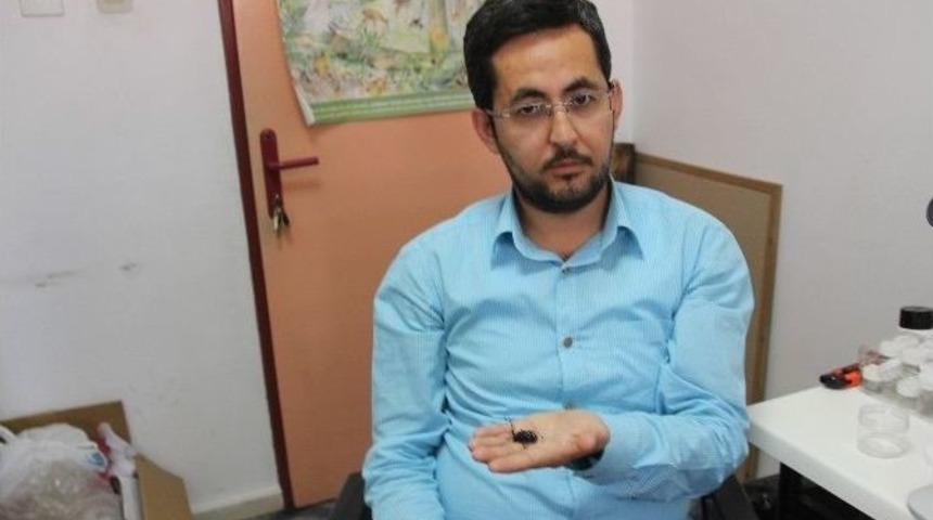 İstanbul&rsquo;u Alarma Ge&ccedil;iren &rsquo;canavar B&ouml;cek&rsquo; Bartın&rsquo;da Da G&ouml;r&uuml;ld&uuml;