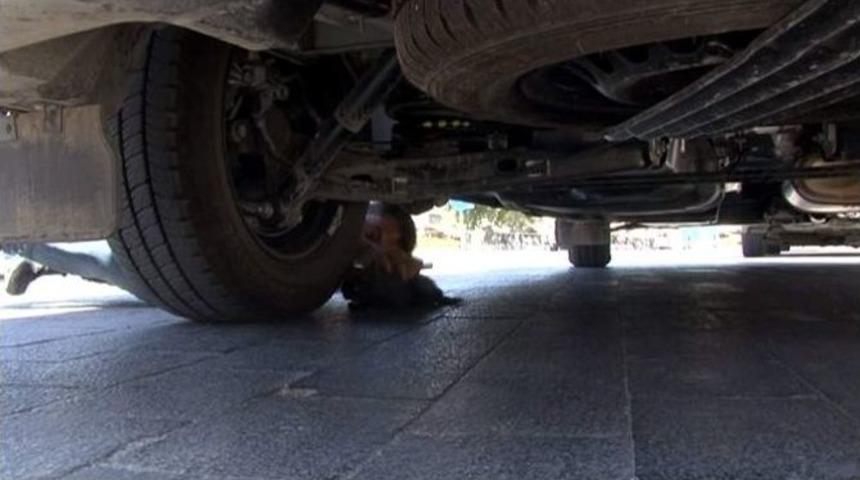 Minib&uuml;s&uuml;n Altına Giren Yavru Kedi Vatandaşları Uğraştırdı