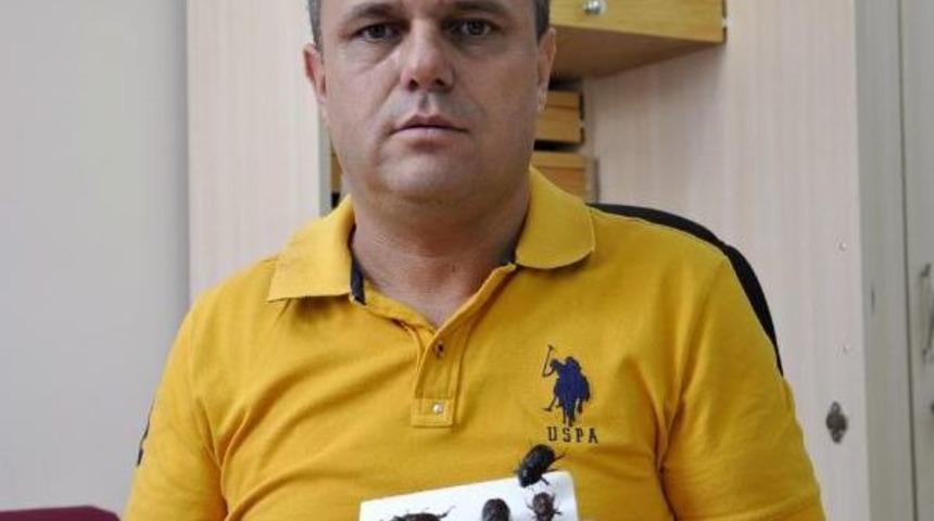 Prof. Dr. Avcı: Gergedan B&ouml;ceğinin Toplanması Ve Satılması Yasak